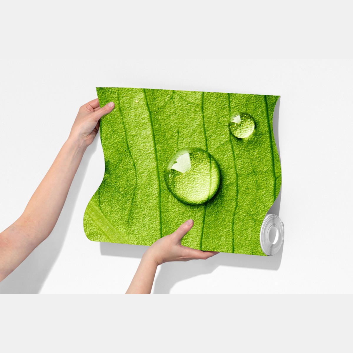 Fototapeta świeży zielony liść z kroplami wody – Wallissimo® Fototapeta świeży zielony liść z kroplami wody – Wallissimo®