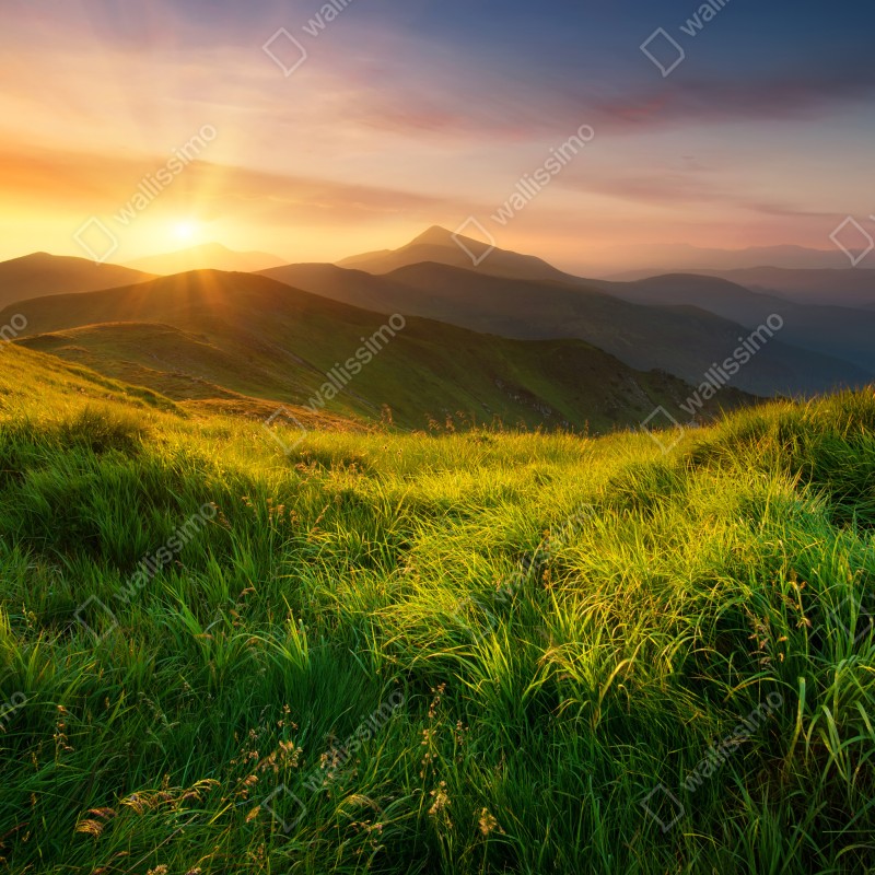 Fototapeta wschód słońca nad zieloną doliną górską – Wallissimo® Fototapeta wschód słońca nad zieloną doliną górską – Wallissimo®