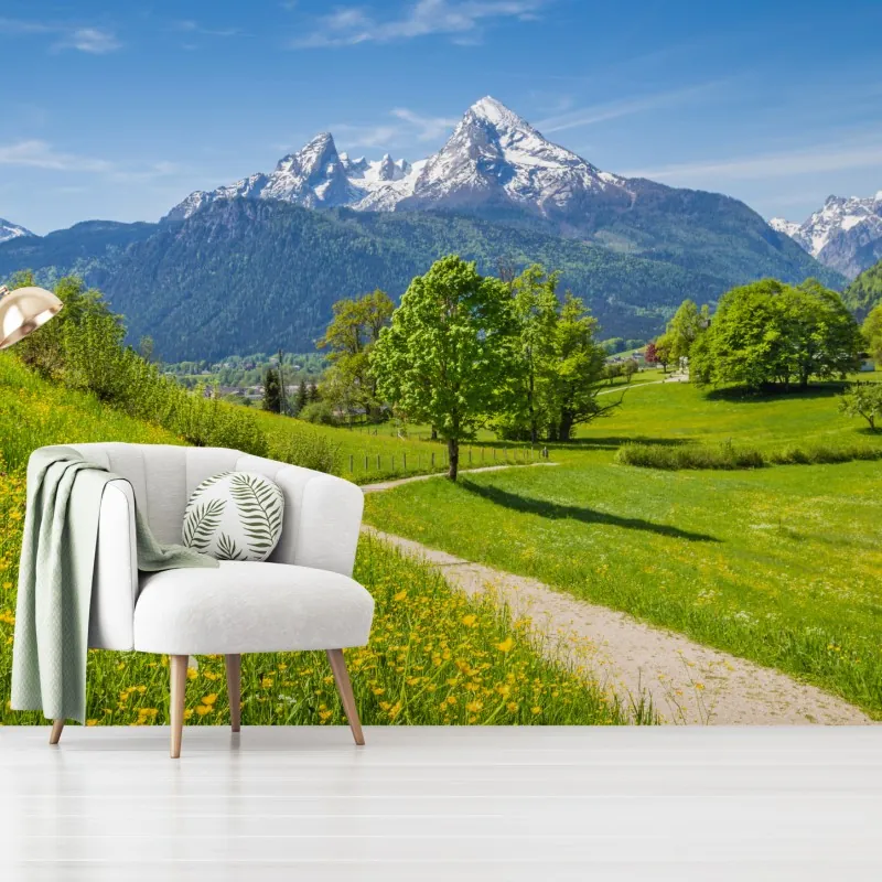 Fototapeta alpejska wiosenna łąka z ośnieżonymi szczytami