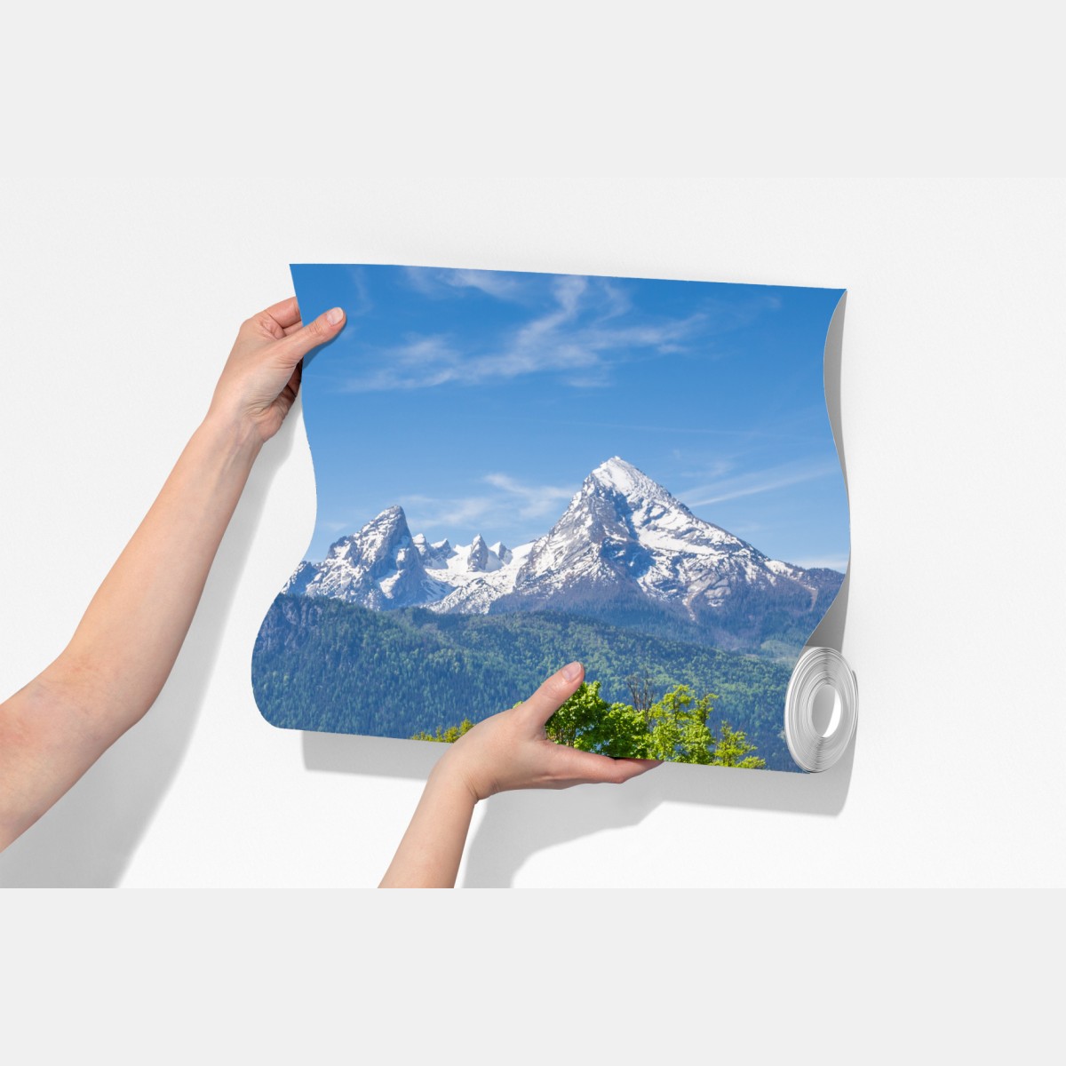 Fototapeta alpejska wiosenna łąka z ośnieżonymi szczytami – Wallissimo® Fototapeta alpejska wiosenna łąka z ośnieżonymi szczytami – Wallissimo®