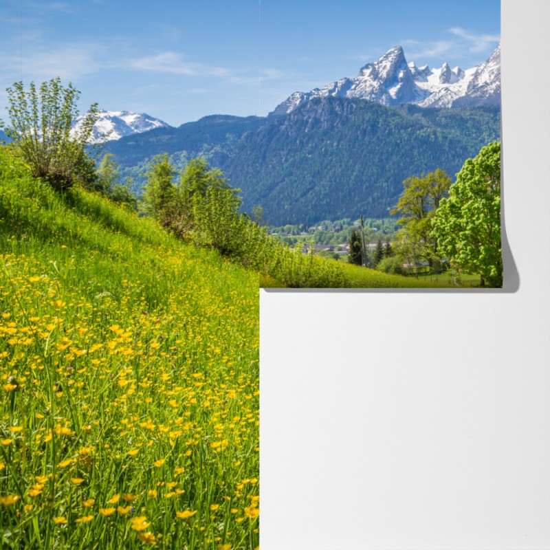 Fototapeta alpejska wiosenna łąka z ośnieżonymi szczytami – Wallissimo® Fototapeta alpejska wiosenna łąka z ośnieżonymi szczytami – Wallissimo®