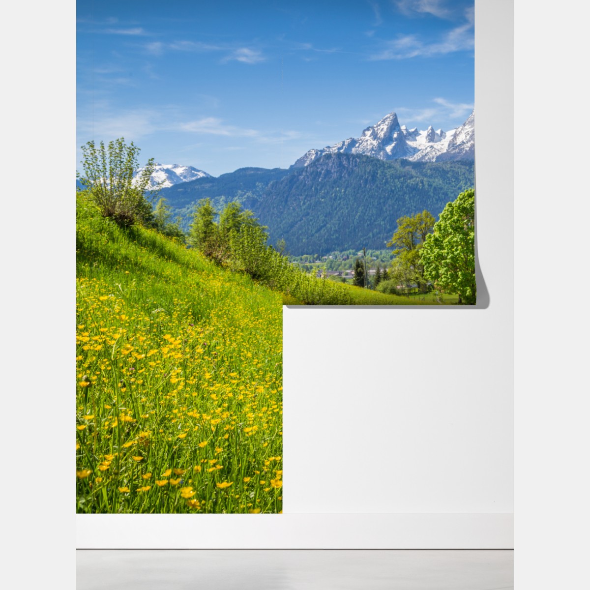 Fototapeta alpejska wiosenna łąka z ośnieżonymi szczytami – Wallissimo® Fototapeta alpejska wiosenna łąka z ośnieżonymi szczytami – Wallissimo®