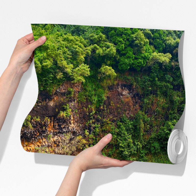 Fototapeta podwójny wodospad w bujnym zielonym lesie – Wallissimo® Fototapeta podwójny wodospad w bujnym zielonym lesie – Wallissimo®