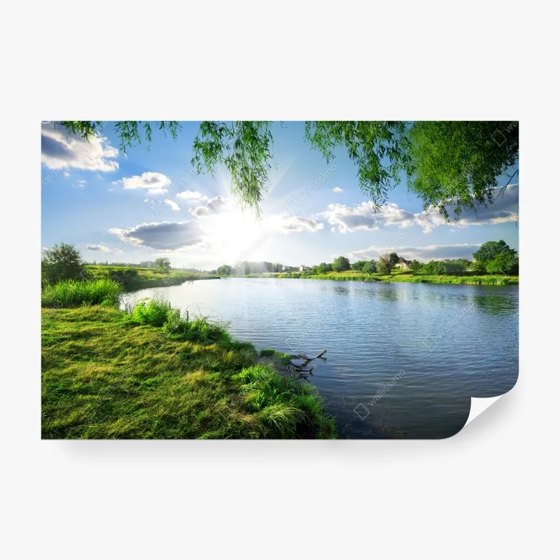 Fototapeta poranne światło w lesie – Wallissimo®