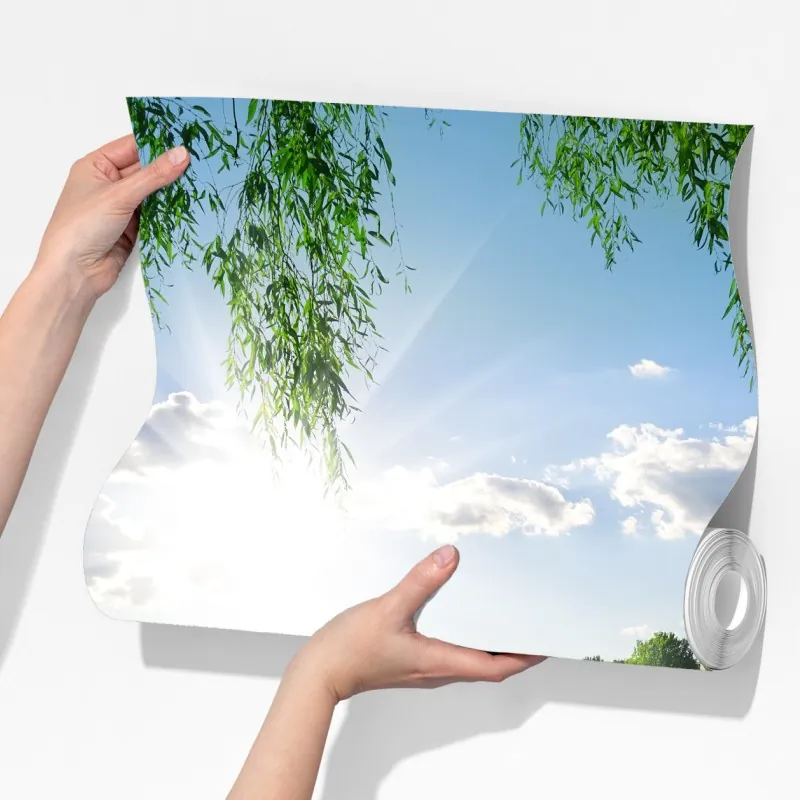 Fototapeta nasłoneczniony brzeg rzeki z bujną zielenią – Wallissimo® Fototapeta nasłoneczniony brzeg rzeki z bujną zielenią – Wallissimo®