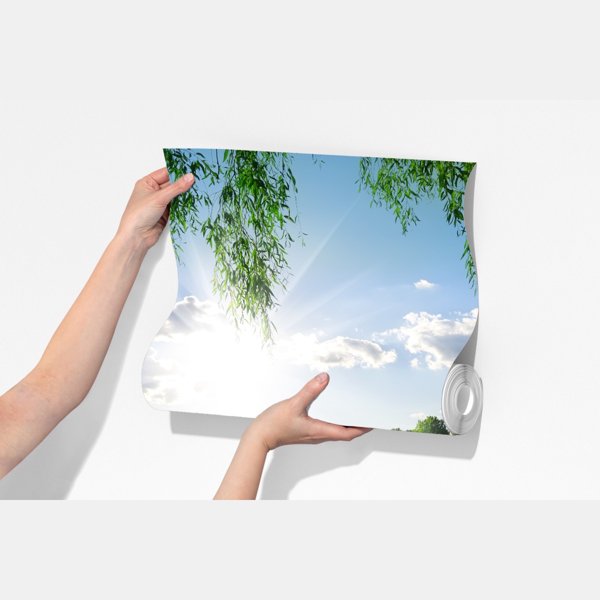 Fototapeta nasłoneczniony brzeg rzeki z bujną zielenią – Wallissimo® Fototapeta nasłoneczniony brzeg rzeki z bujną zielenią – Wallissimo®