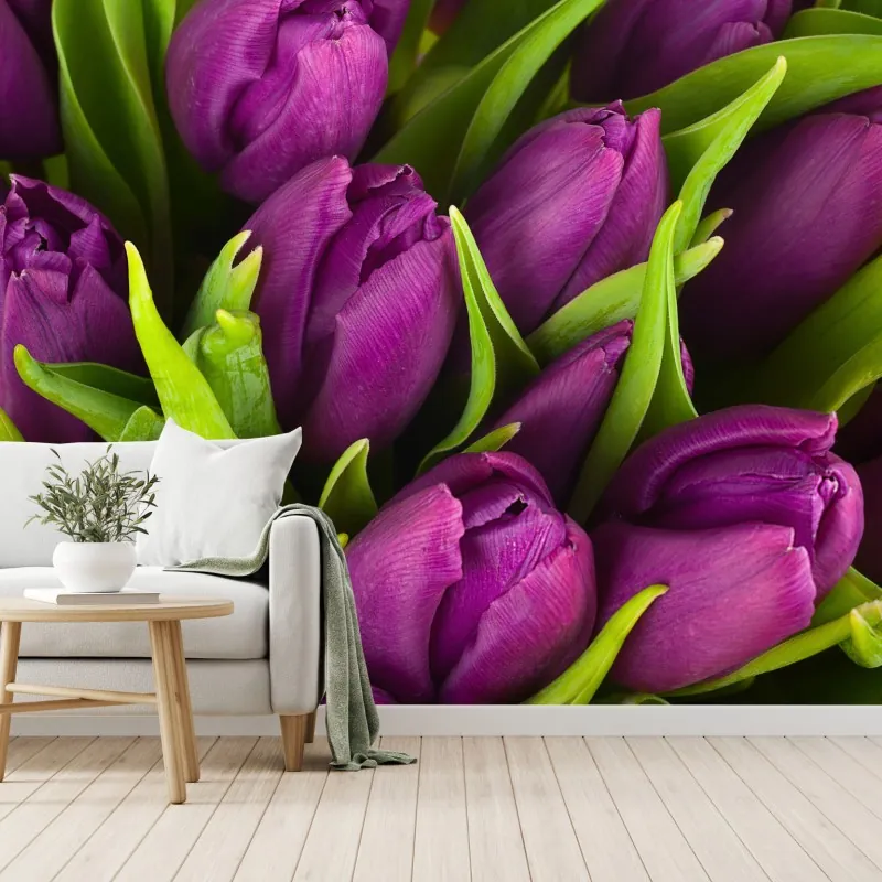 Fototapeta fioletowy bukiet tulipanów