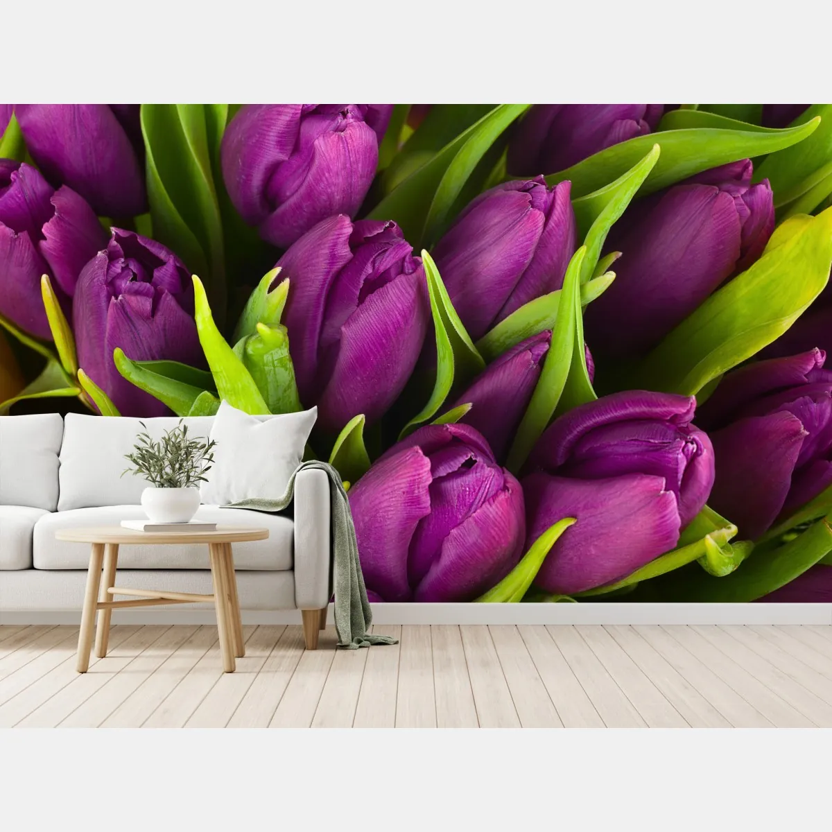 Fototapeta fioletowy bukiet tulipanów – Wallissimo® Fototapeta fioletowy bukiet tulipanów – Wallissimo®