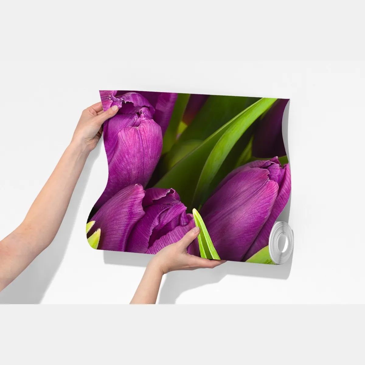 Fototapeta fioletowy bukiet tulipanów – Wallissimo® Fototapeta fioletowy bukiet tulipanów – Wallissimo®