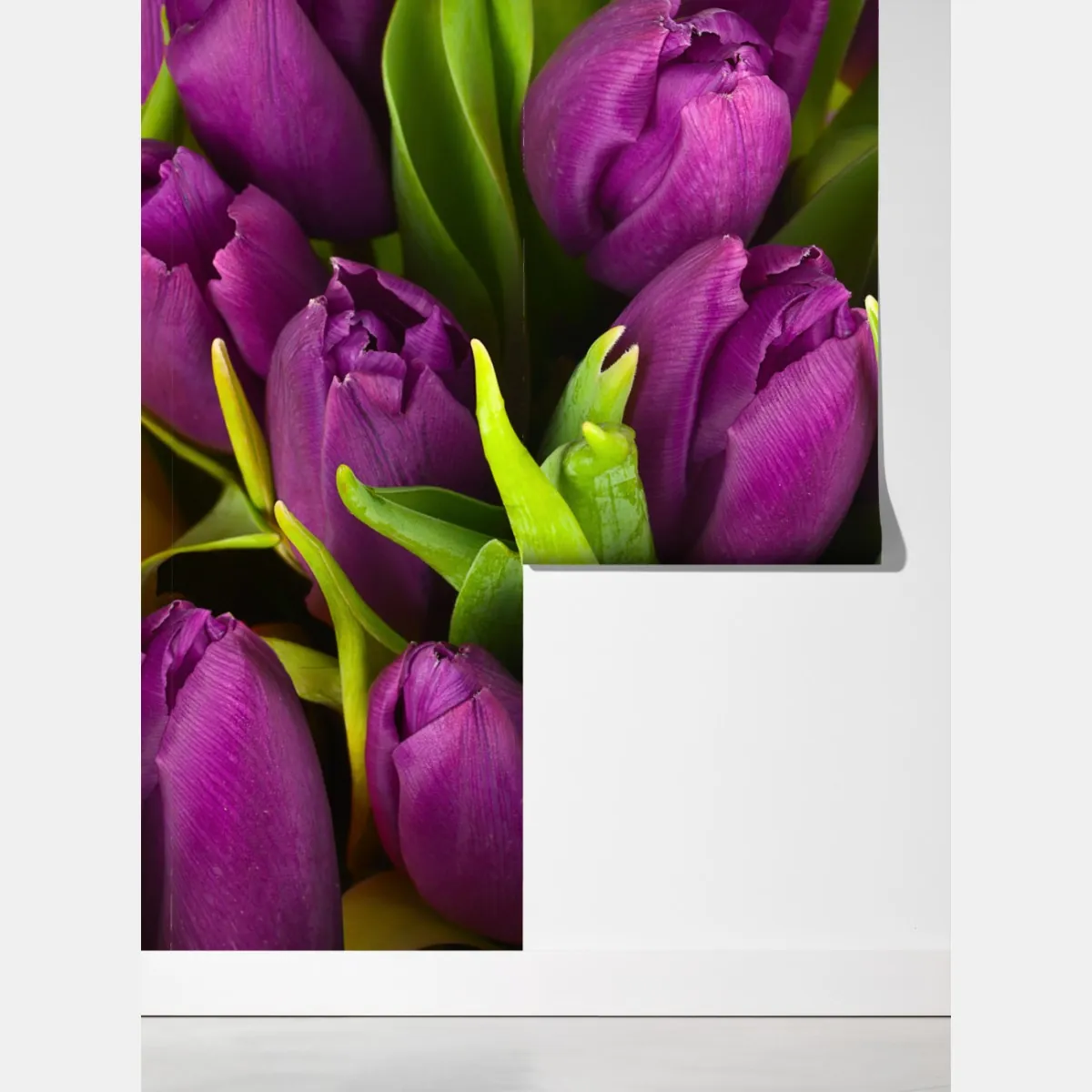 Fototapeta fioletowy bukiet tulipanów – Wallissimo® Fototapeta fioletowy bukiet tulipanów – Wallissimo®