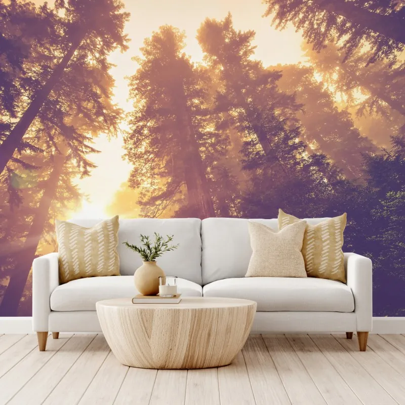 Fototapeta mglisty las sekwojowy w złotych vintage tonacjach