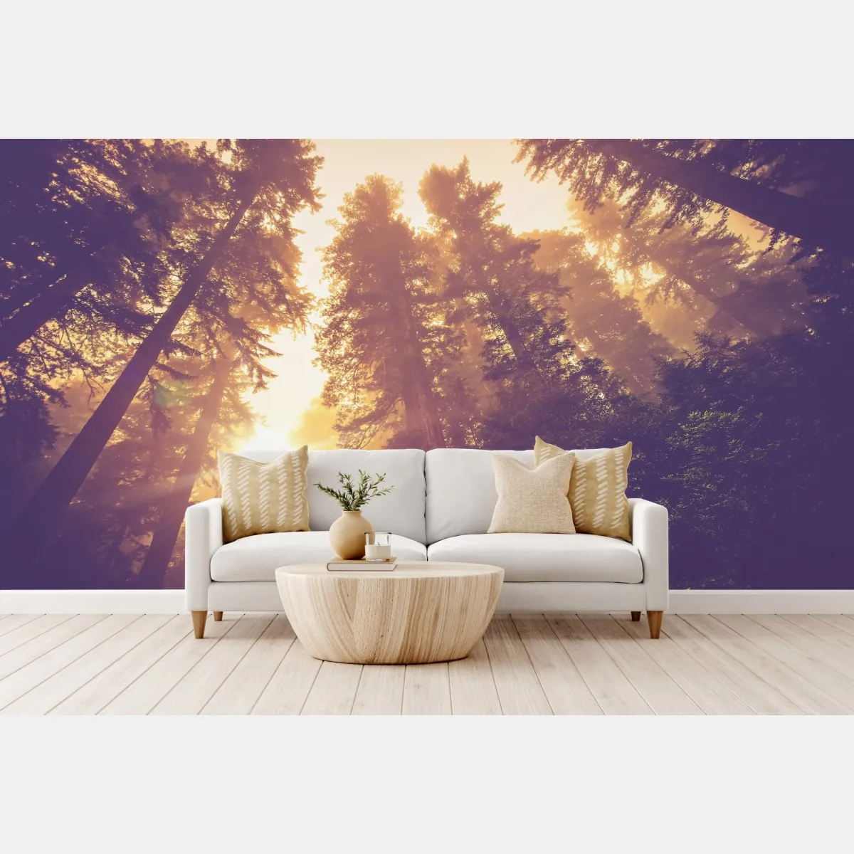 Fototapeta mglisty las sekwojowy w złotych vintage tonacjach – Wallissimo® Fototapeta mglisty las sekwojowy w złotych vintage tonacjach – Wallissimo®