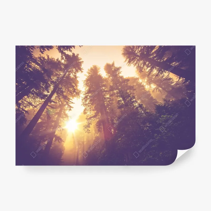 Fototapeta złoty wzór wachlarza w stylu art deco – Wallissimo®