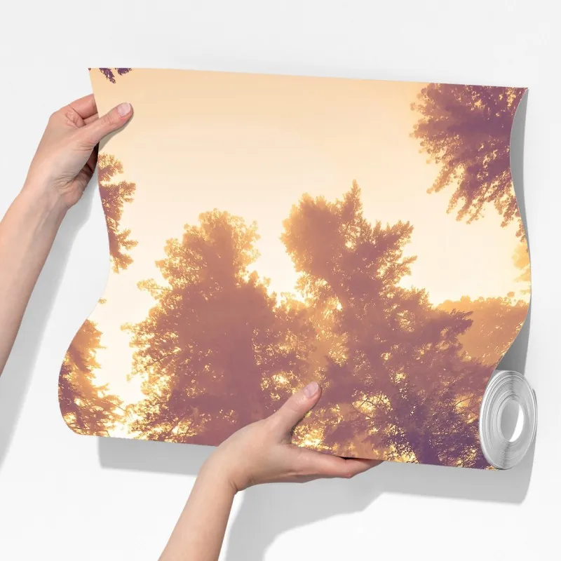 Fototapeta mglisty las sekwojowy w złotych vintage tonacjach – Wallissimo® Fototapeta mglisty las sekwojowy w złotych vintage tonacjach – Wallissimo®