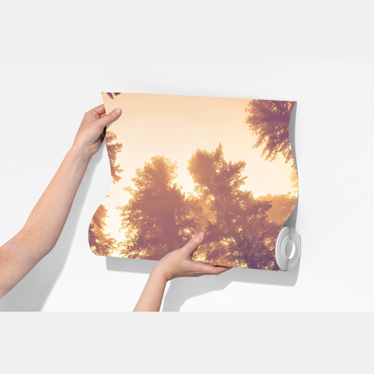 Fototapeta mglisty las sekwojowy w złotych vintage tonacjach – Wallissimo® Fototapeta mglisty las sekwojowy w złotych vintage tonacjach – Wallissimo®