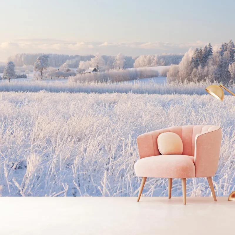 Fototapeta szronowa łąka o poranku