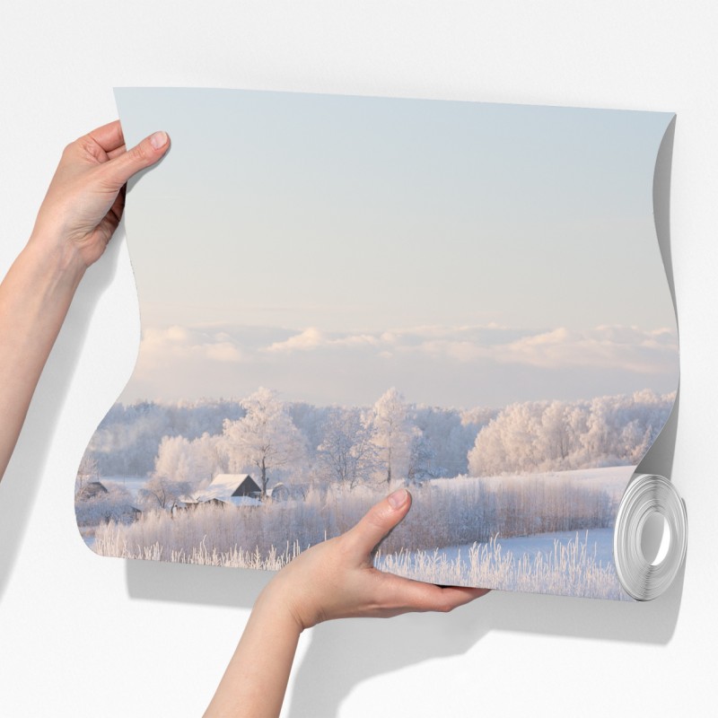 Fototapeta szronowa łąka o poranku – Wallissimo® Fototapeta szronowa łąka o poranku – Wallissimo®