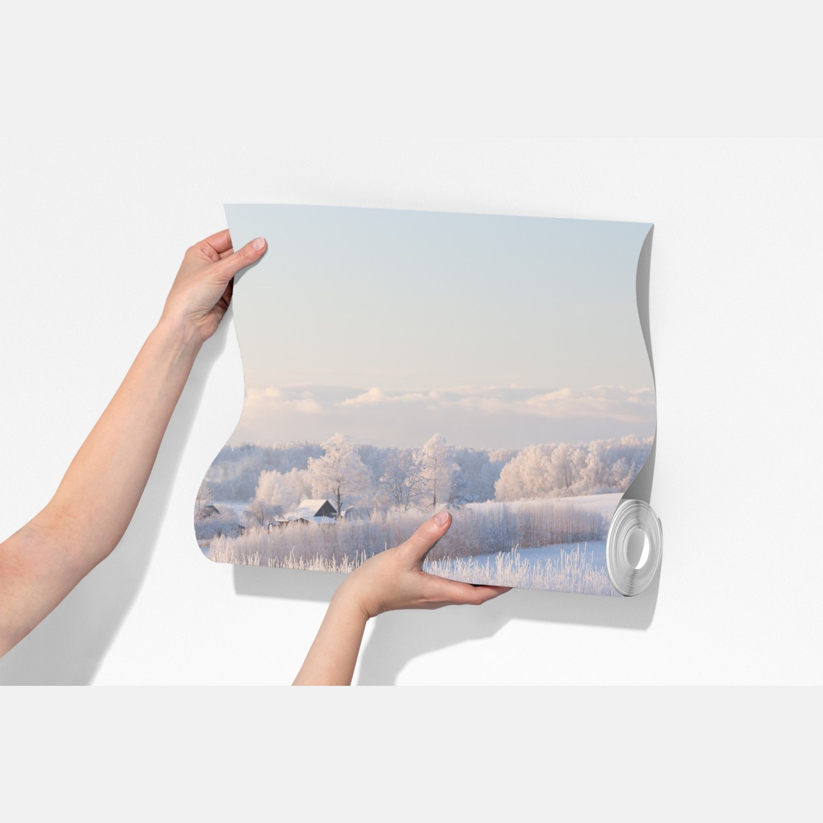 Fototapeta szronowa łąka o poranku – Wallissimo® Fototapeta szronowa łąka o poranku – Wallissimo®