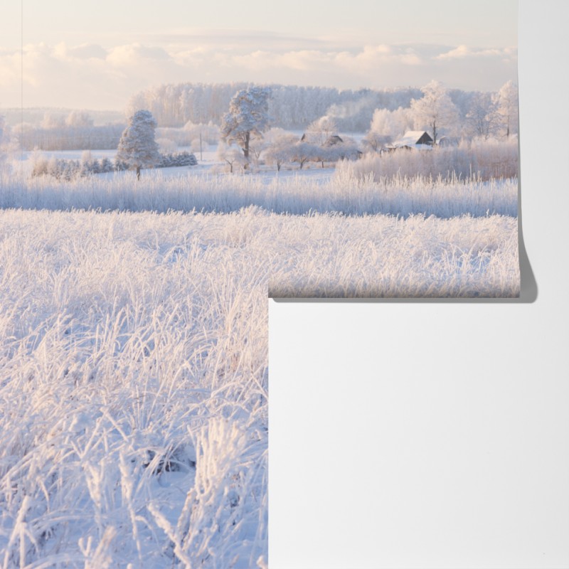 Fototapeta szronowa łąka o poranku – Wallissimo® Fototapeta szronowa łąka o poranku – Wallissimo®