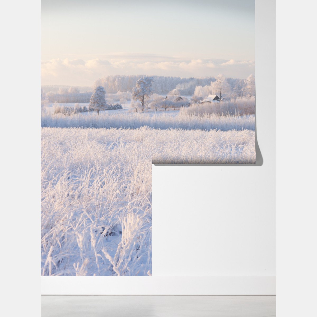 Fototapeta szronowa łąka o poranku – Wallissimo® Fototapeta szronowa łąka o poranku – Wallissimo®