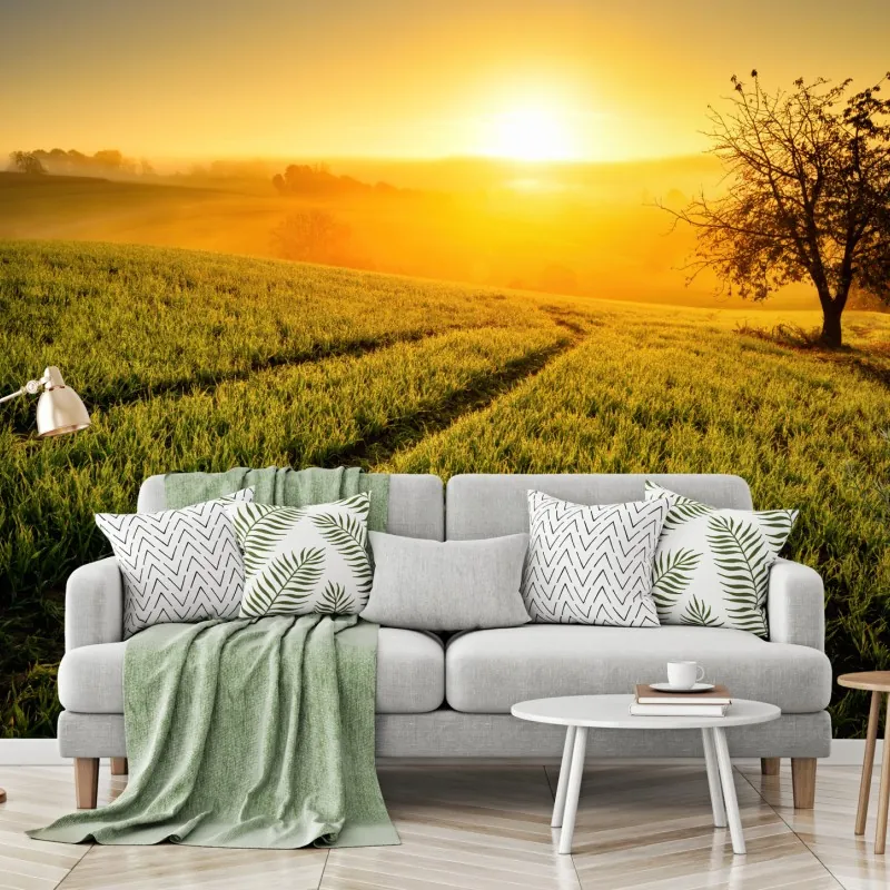 Fototapeta słoneczna łąka o świcie