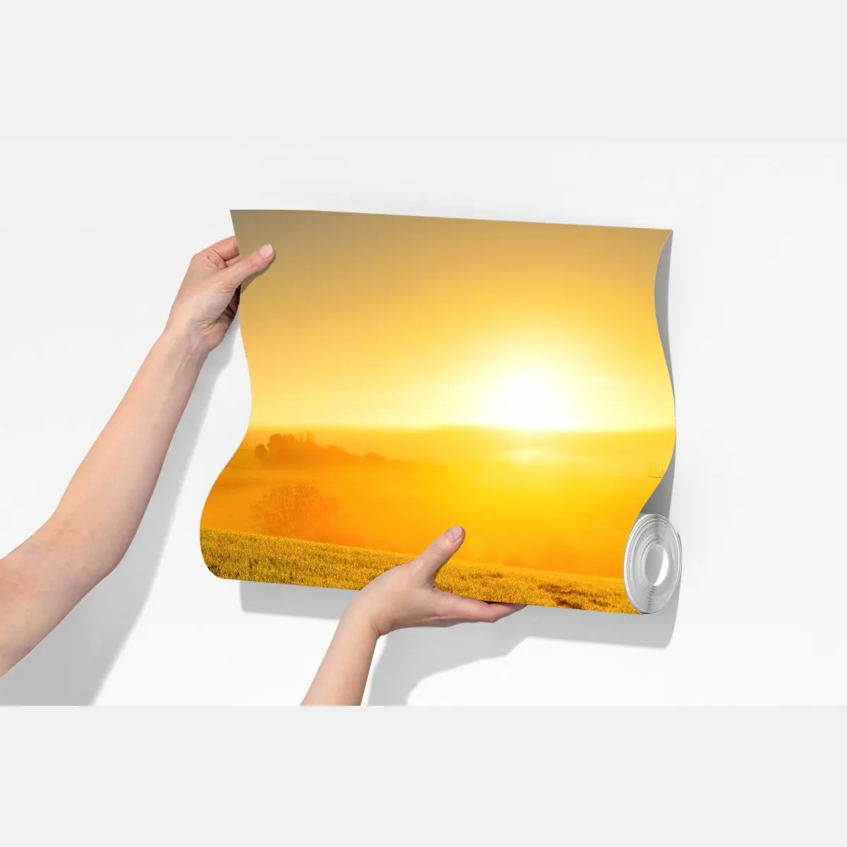 Fototapeta słoneczna łąka o świcie – Wallissimo® Fototapeta słoneczna łąka o świcie – Wallissimo®