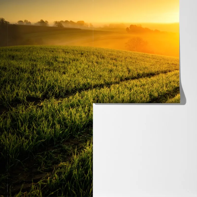 Fototapeta słoneczna łąka o świcie – Wallissimo® Fototapeta słoneczna łąka o świcie – Wallissimo®