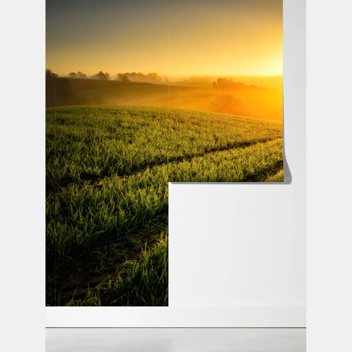 Fototapeta słoneczna łąka o świcie – Wallissimo® Fototapeta słoneczna łąka o świcie – Wallissimo®