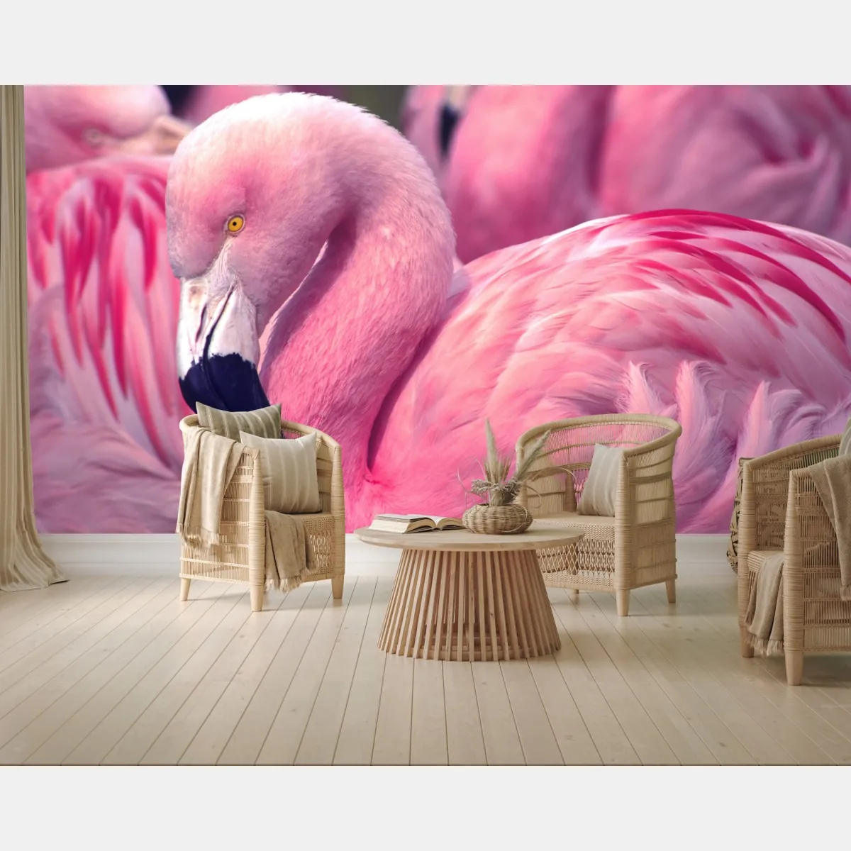 Fototapeta różowy flaming z bliska – Wallissimo® Fototapeta różowy flaming z bliska – Wallissimo®