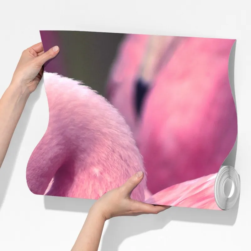 Fototapeta różowy flaming z bliska – Wallissimo® Fototapeta różowy flaming z bliska – Wallissimo®