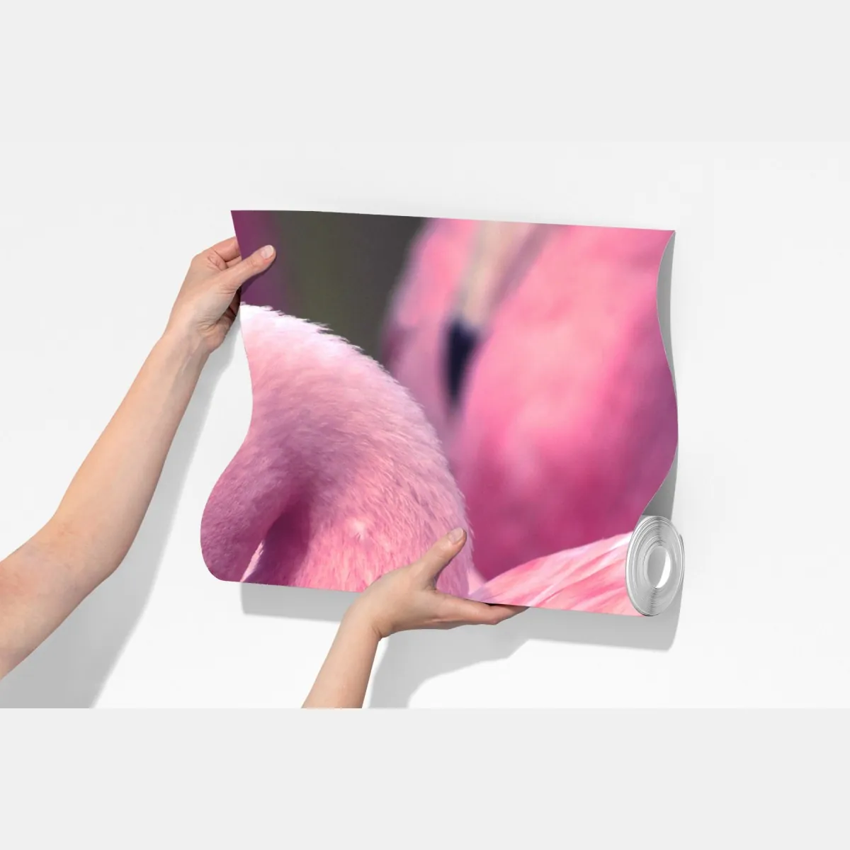 Fototapeta różowy flaming z bliska – Wallissimo® Fototapeta różowy flaming z bliska – Wallissimo®