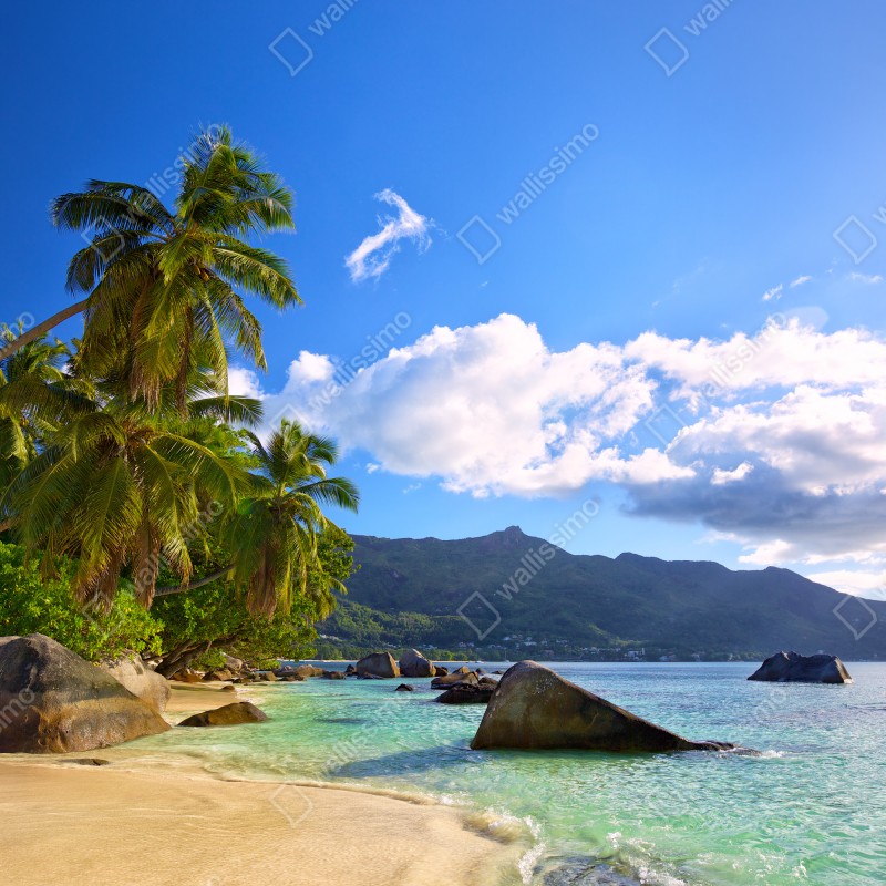 Fototapeta tropikalna plaża na Mahe – Wallissimo® Fototapeta tropikalna plaża na Mahe – Wallissimo®