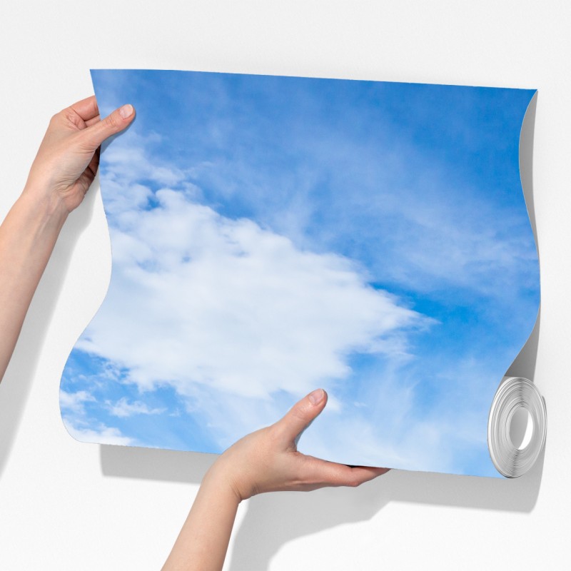 Fototapeta ośnieżone szczyty w Glacier Bay, Alaska – Wallissimo® Fototapeta ośnieżone szczyty w Glacier Bay, Alaska – Wallissimo®