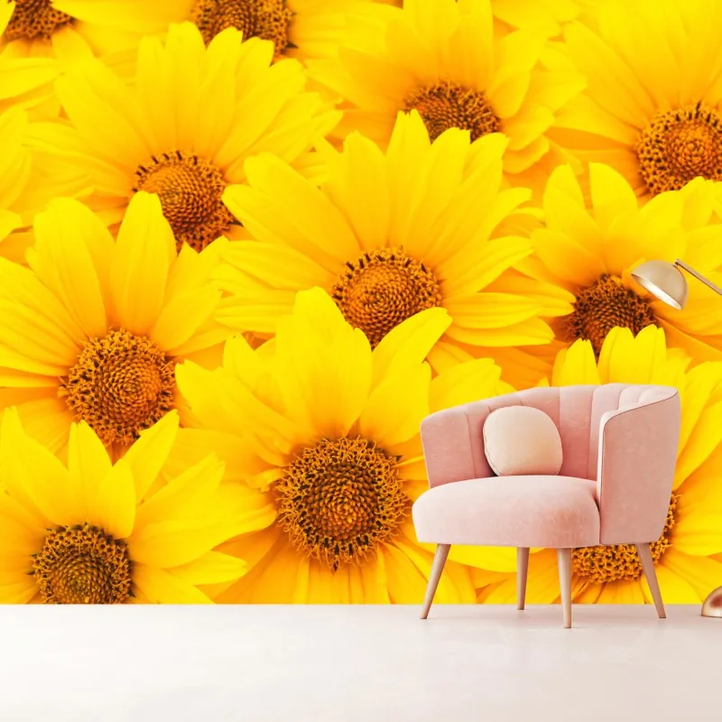 Fototapeta intensywne żółte słoneczniki w zbliżeniu