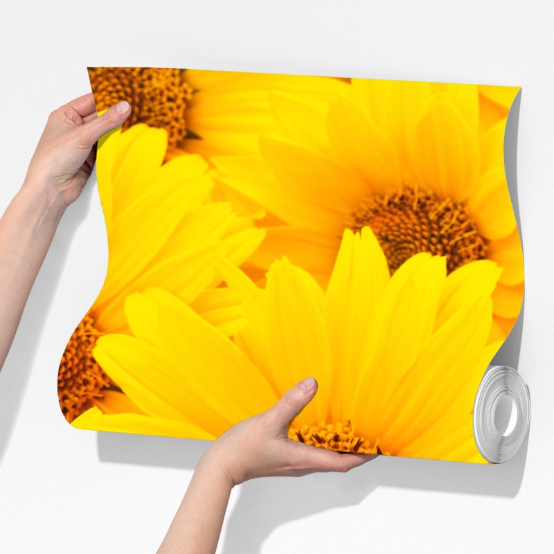 Fototapeta intensywne żółte słoneczniki w zbliżeniu – Wallissimo® Fototapeta intensywne żółte słoneczniki w zbliżeniu – Wallissimo®