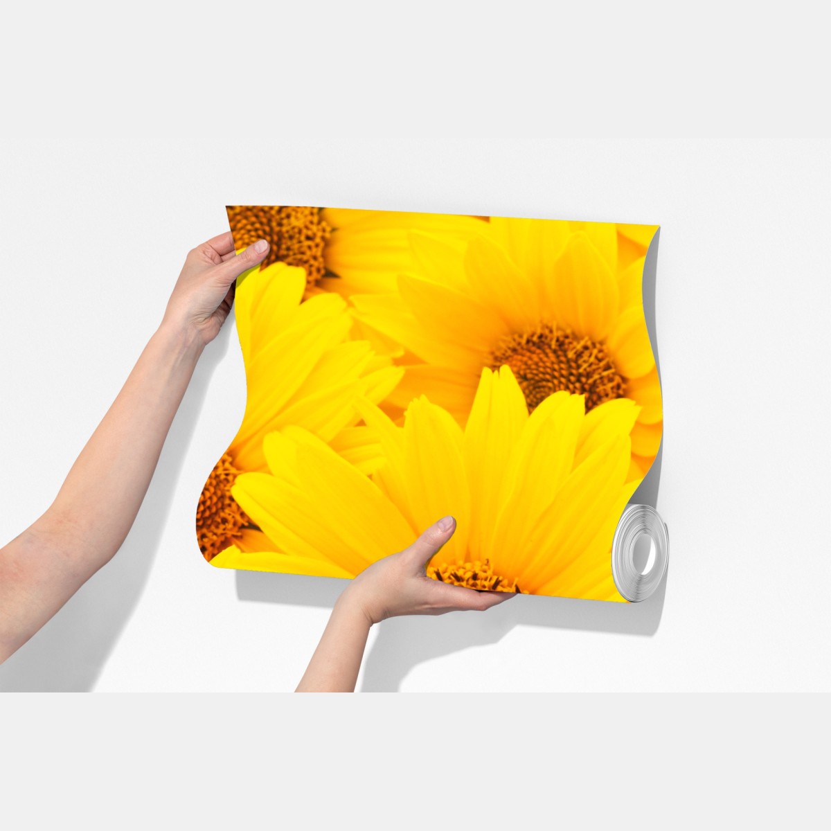 Fototapeta intensywne żółte słoneczniki w zbliżeniu – Wallissimo® Fototapeta intensywne żółte słoneczniki w zbliżeniu – Wallissimo®