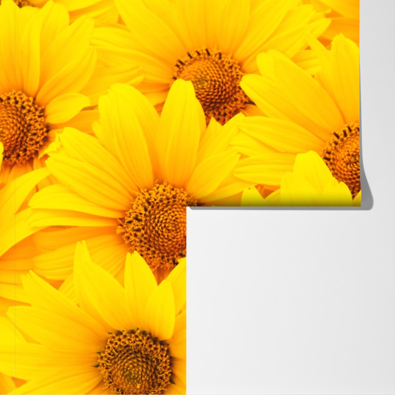 Fototapeta intensywne żółte słoneczniki w zbliżeniu – Wallissimo® Fototapeta intensywne żółte słoneczniki w zbliżeniu – Wallissimo®