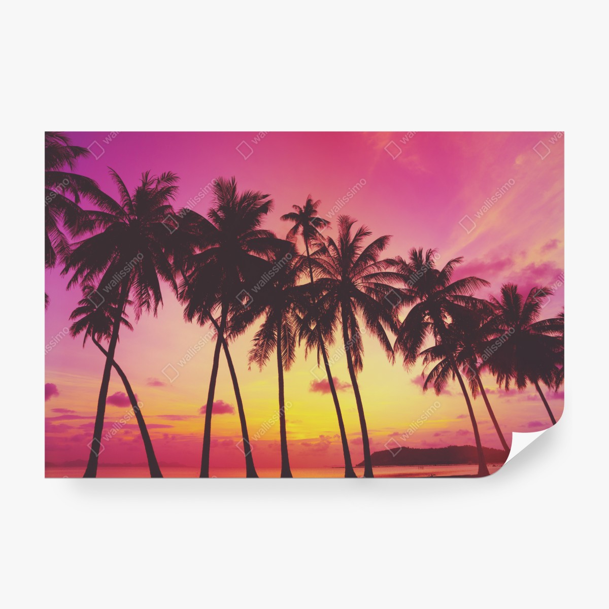 Fototapeta tropikalny zachód słońca z palmami, Tajlandia – Wallissimo® Fototapeta tropikalny zachód słońca z palmami, Tajlandia – Wallissimo®