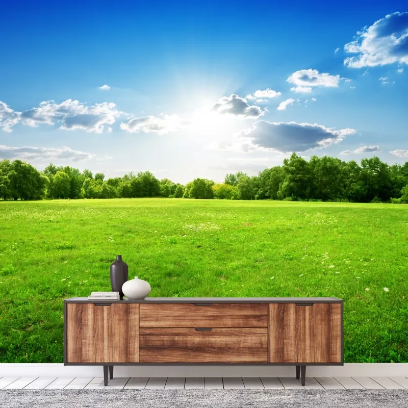 Fototapeta słoneczna zielona łąka – Wallissimo® Fototapeta słoneczna zielona łąka – Wallissimo®