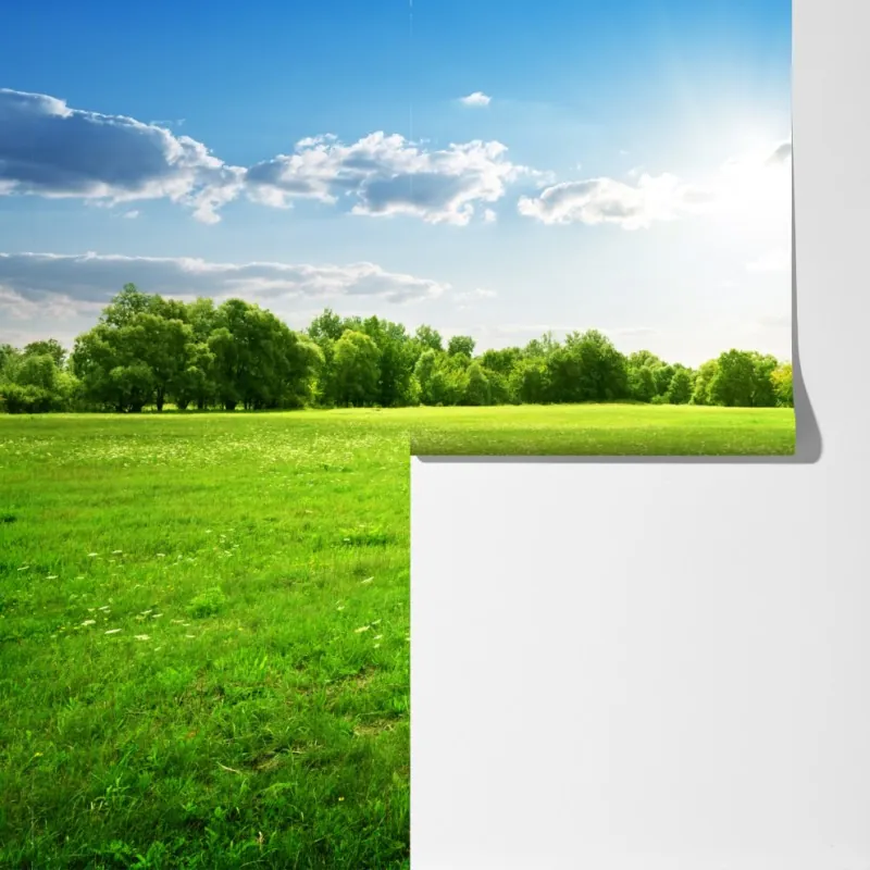 Fototapeta słoneczna zielona łąka – Wallissimo® Fototapeta słoneczna zielona łąka – Wallissimo®