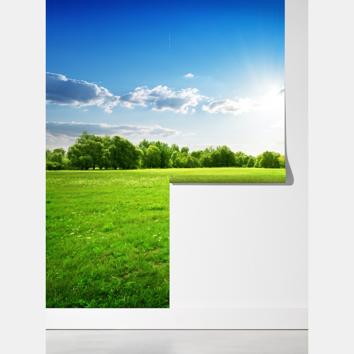 Fototapeta słoneczna zielona łąka – Wallissimo® Fototapeta słoneczna zielona łąka – Wallissimo®