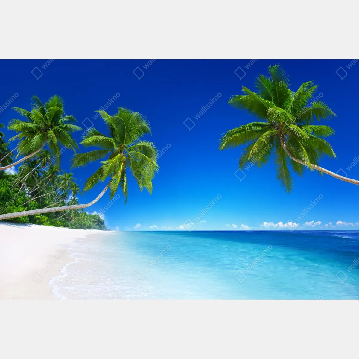 Fototapeta tropikalna plaża z palmami – Wallissimo® Fototapeta tropikalna plaża z palmami – Wallissimo®