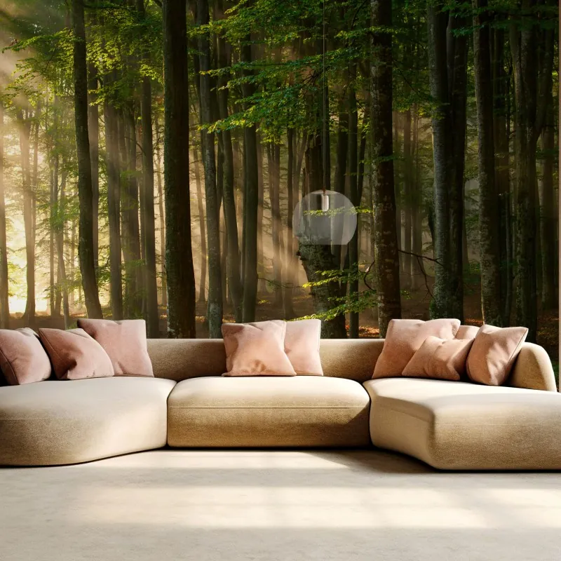 Fototapeta poranne światło w lesie bukowym – Wallissimo® Fototapeta poranne światło w lesie bukowym – Wallissimo®