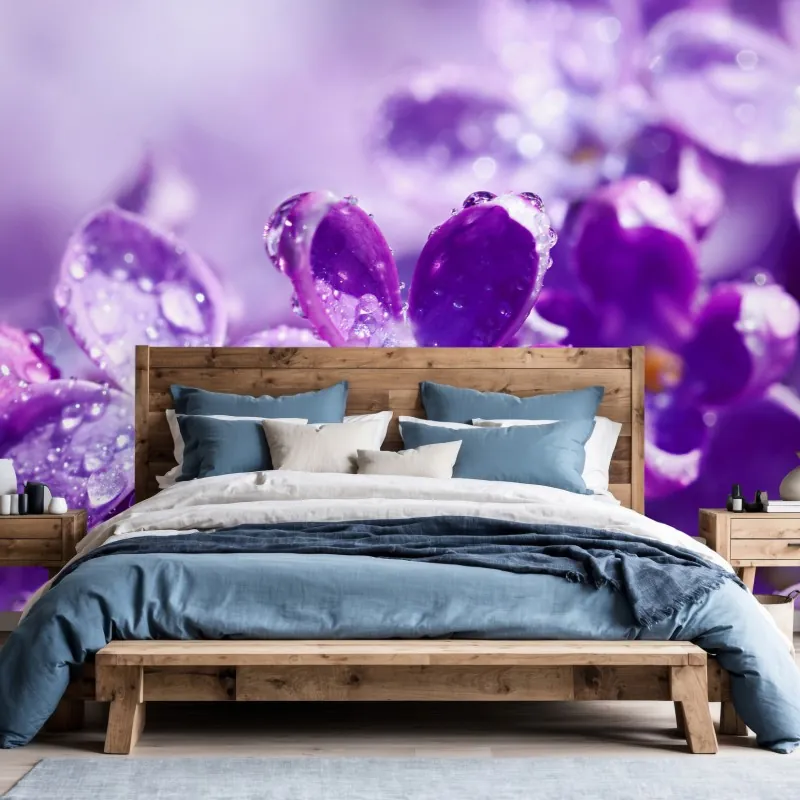 Fototapeta fioletowy bez z kroplami rosy