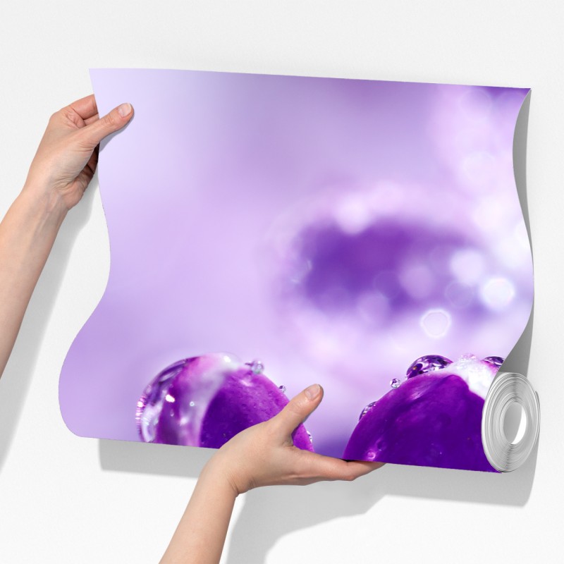 Fototapeta fioletowy bez z kroplami rosy – Wallissimo® Fototapeta fioletowy bez z kroplami rosy – Wallissimo®