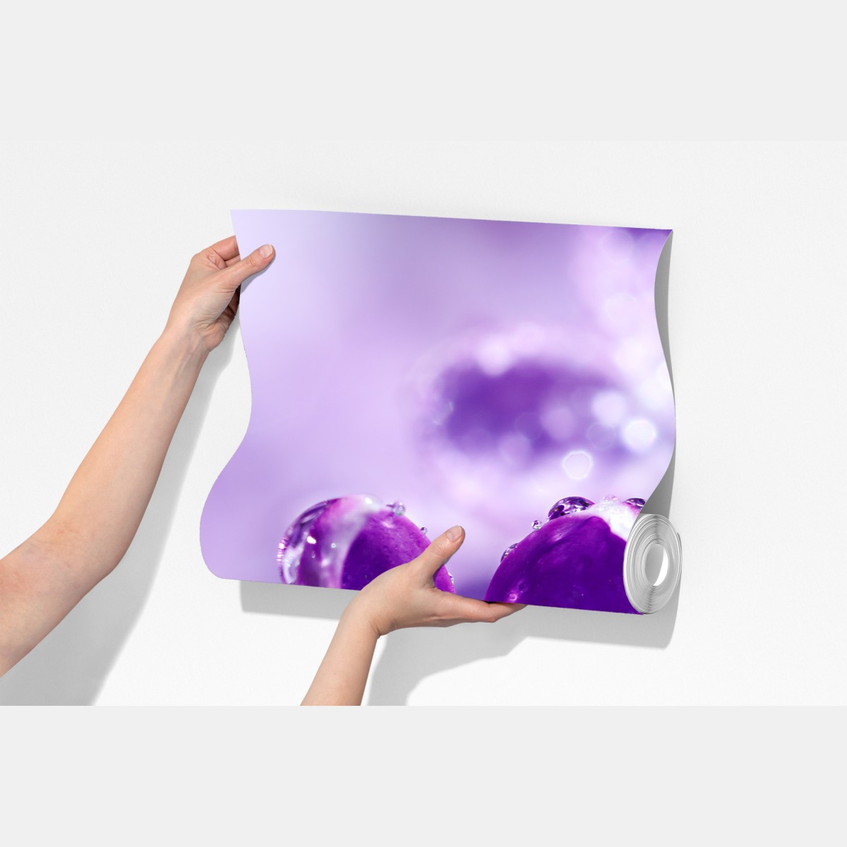 Fototapeta fioletowy bez z kroplami rosy – Wallissimo® Fototapeta fioletowy bez z kroplami rosy – Wallissimo®