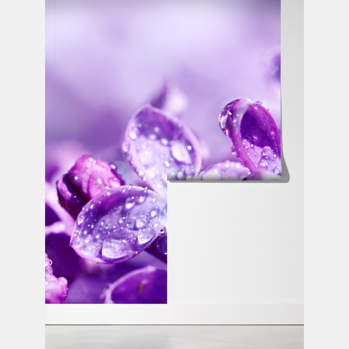 Fototapeta fioletowy bez z kroplami rosy – Wallissimo® Fototapeta fioletowy bez z kroplami rosy – Wallissimo®