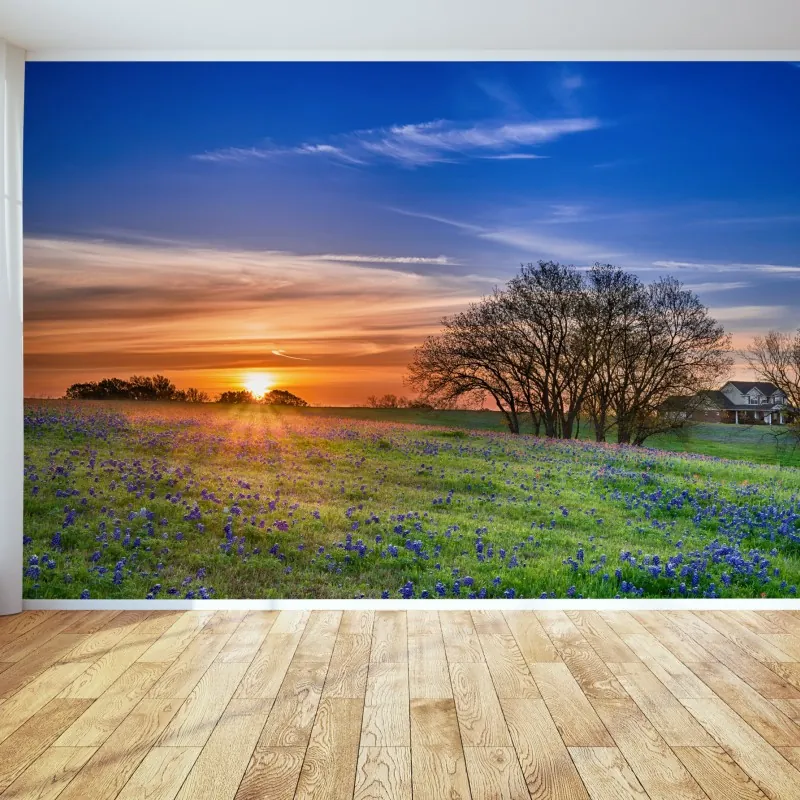 Fototapeta Teksas łąka bluebonnetów o wschodzie słońca