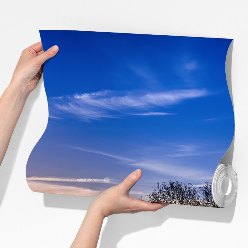 Fototapeta Teksas łąka bluebonnetów o wschodzie słońca – Wallissimo® Fototapeta Teksas łąka bluebonnetów o wschodzie słońca – Wallissimo®