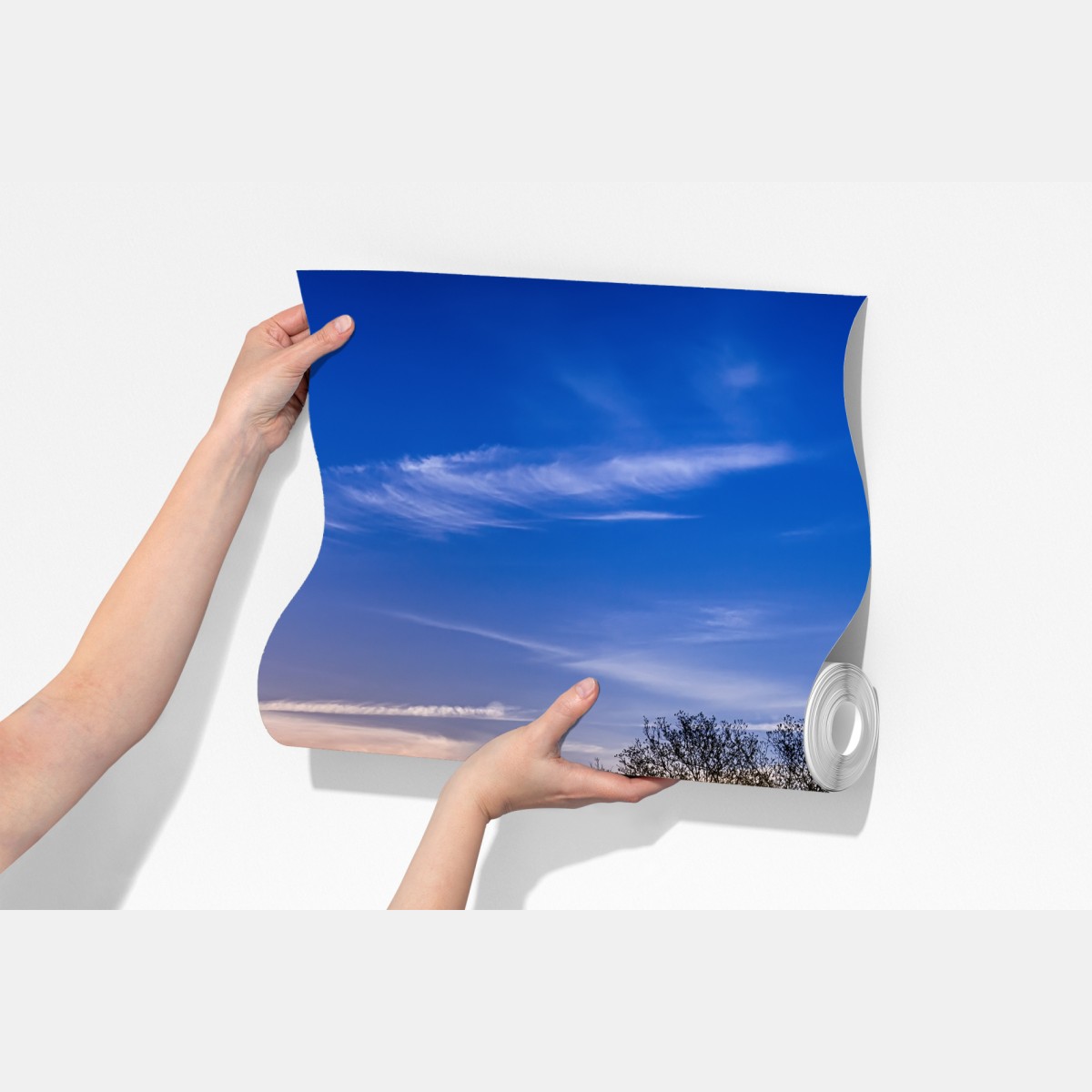 Fototapeta Teksas łąka bluebonnetów o wschodzie słońca – Wallissimo® Fototapeta Teksas łąka bluebonnetów o wschodzie słońca – Wallissimo®